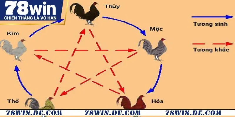 Xem mạng gà theo Kê kinh – Sinh khắc màu lông được chia thành năm nhóm 